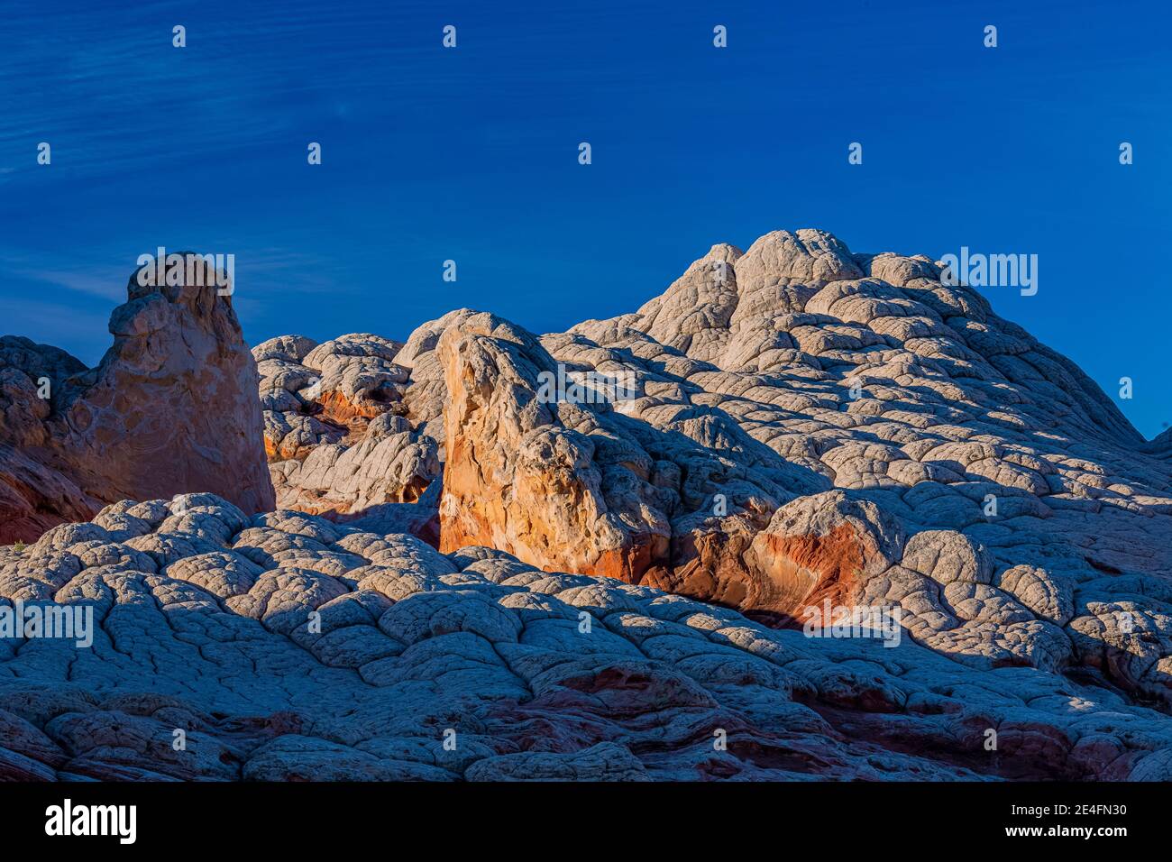 Navajo Sandstone shaped like cauliflower, cracked into polygons, at White Pocket, Vermilion Cliffs National Monument, Arizona, USA Stock Photo
