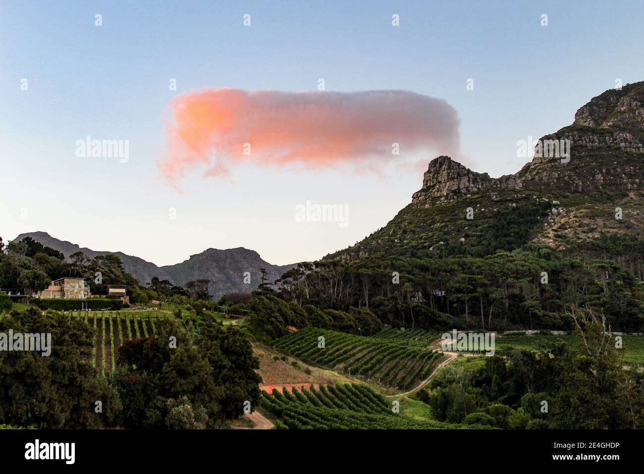 Curious cloud formation at sunset on Constantia Glen vineyard in the wine lands of Cape Town, South Africa Stock Photo