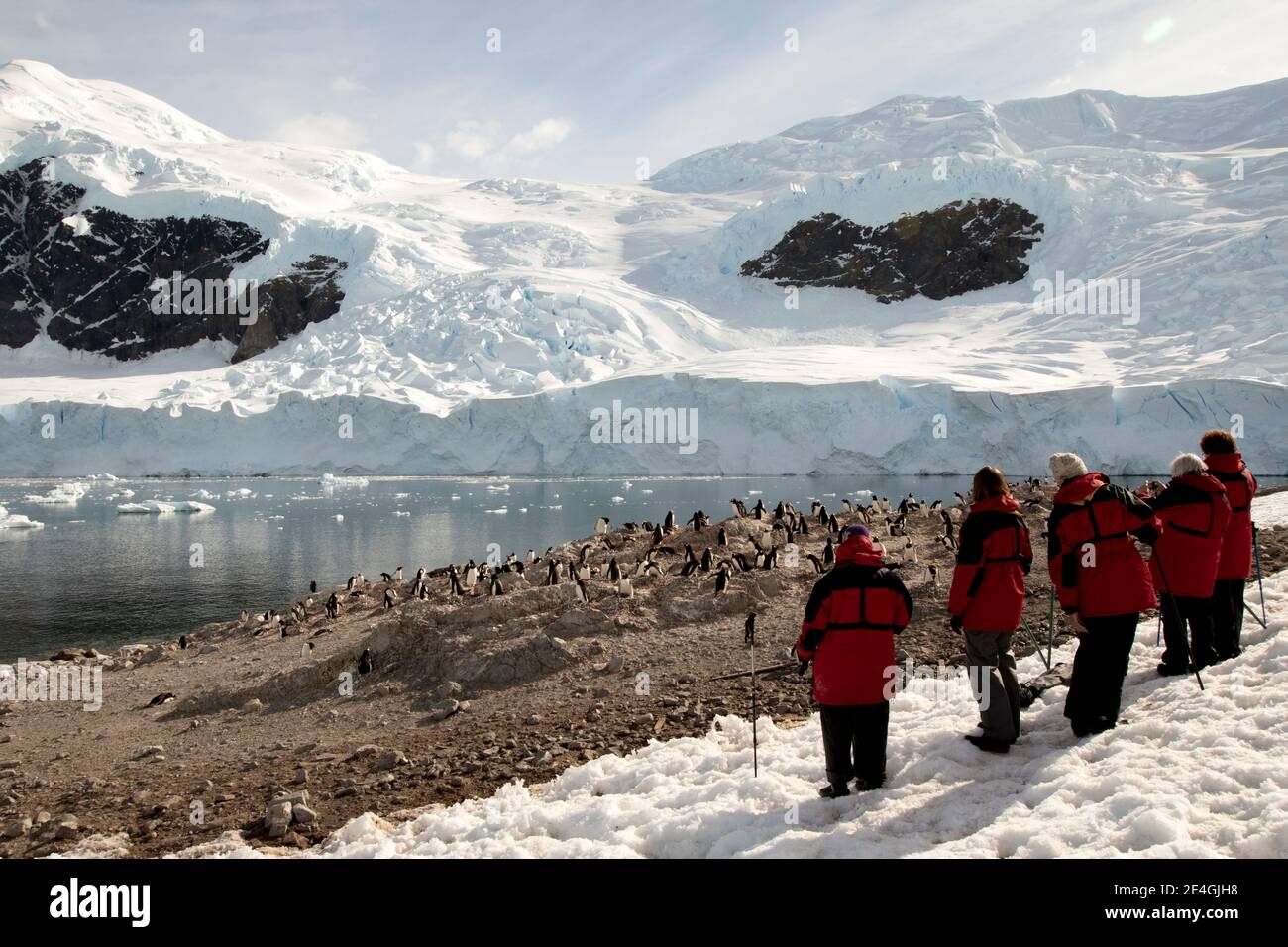 Antarctica tourists with penguins in Antarctica landscape. Stock Photo