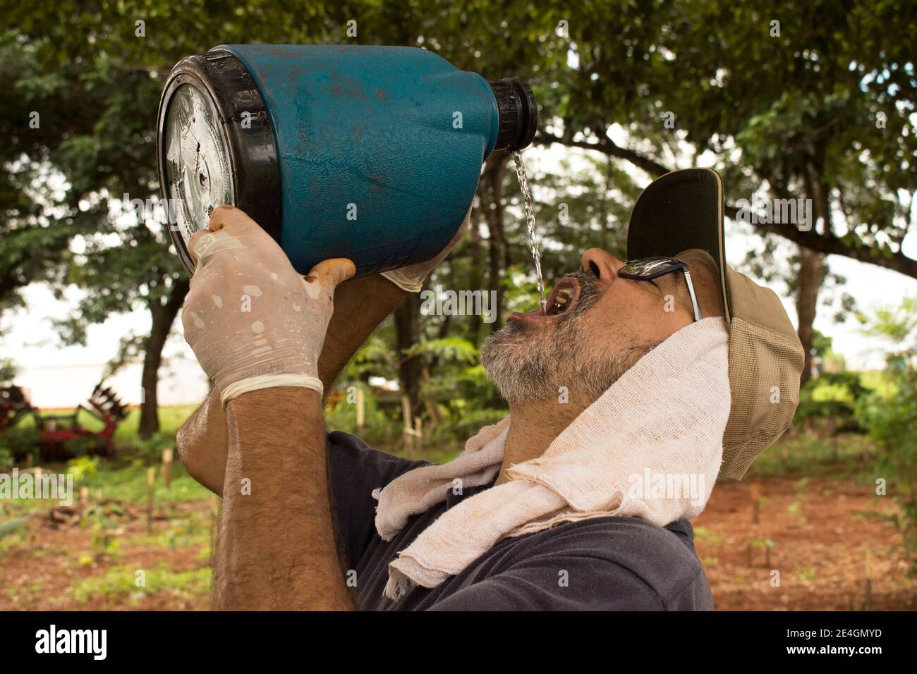 Ibitinga / Sao Paulo / Brazil - 01 23 2020: Mature man sweating and  drinking water after doing hard work planting in the farm Stock Photo