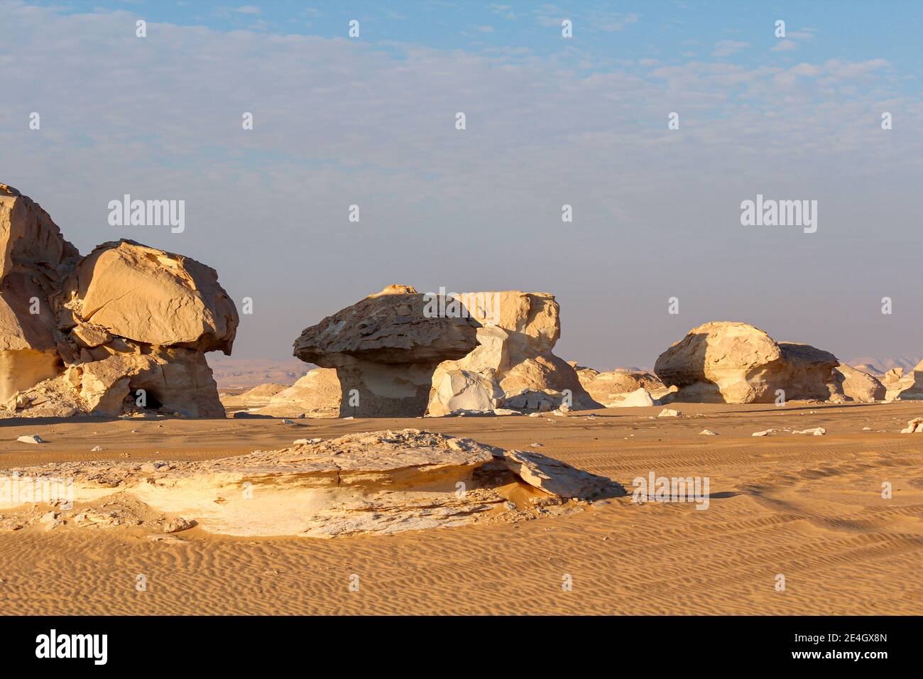 Bizarre sandstone formations in the white desert, early morning, Farafra, Egypt Stock Photo