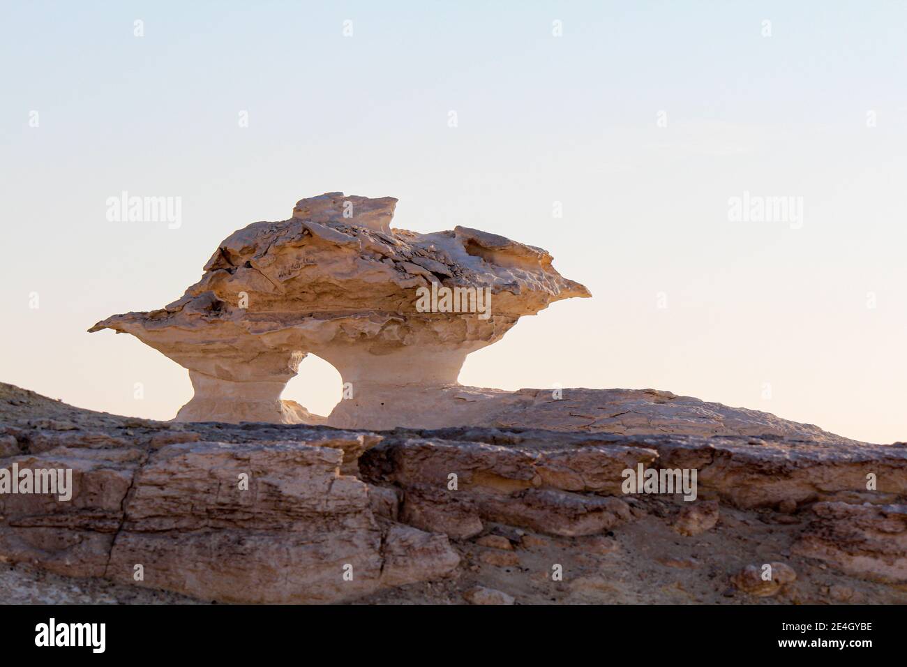 Bizarre sandstone formations in the white desert, early morning, Farafra, Egypt Stock Photo