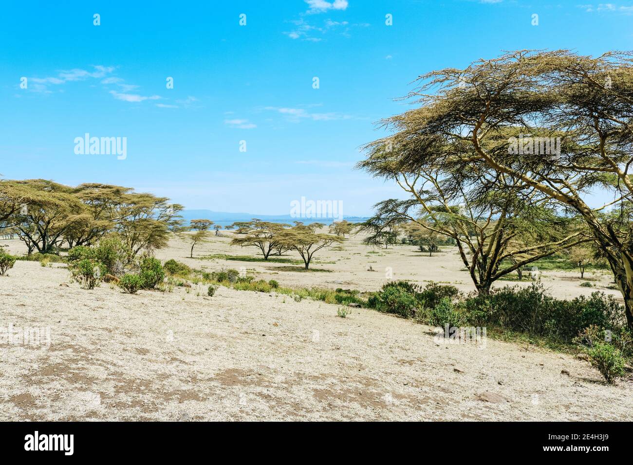 Beautiful landscape of Crescent Island Game Sanctuary (where the movie Out of Africa was filmed) at Lake Naivasha in Kenya, Africa Stock Photo
