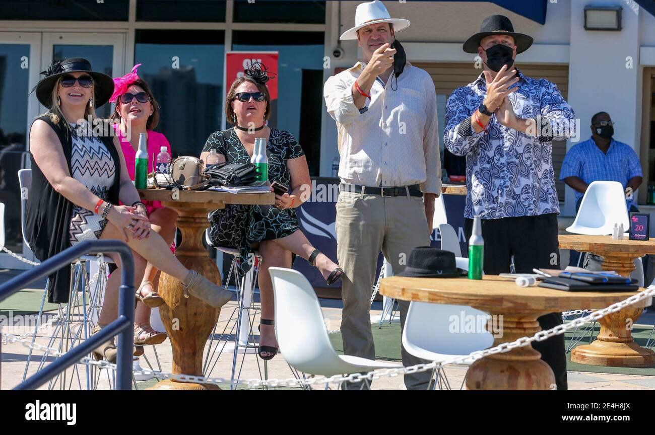 Hallandale Beach, FL, USA. 23rd Jan, 2021. January 23, 2021: Scenes from during Pegasus World Cup Invitational Day at Gulfstream Park in Hallandale Beach, Florida. Sam Navarro/Eclipse Sportswire/CSM/Alamy Live News Stock Photo