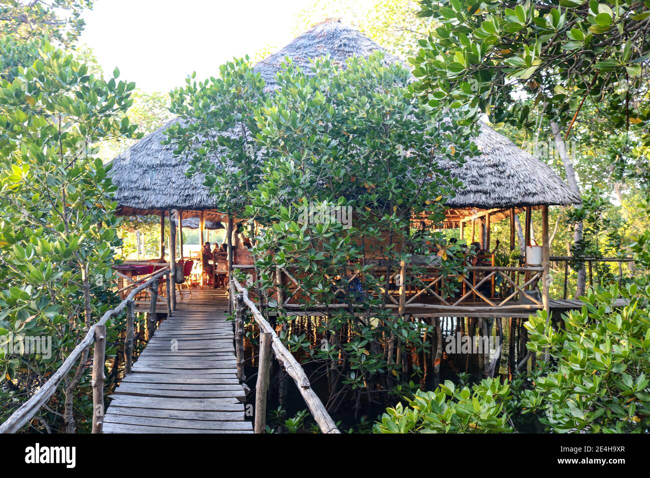 Mangrove tree crab hires stock photography and images Alamy