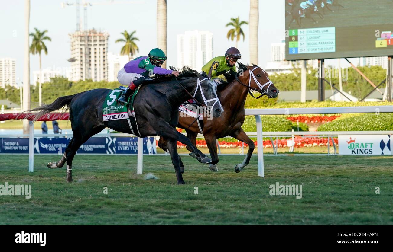 Hallandale Beach, FL, USA. 23rd Jan, 2021. January 23, 2021: Colonel Liam, #5, ridden by jockey Irad Ortiz, Jr. wins the Pegasus World Cup Turf Invitational during Pegasus World Cup Invitational Day at Gulfstream Park in Hallandale Beach, Florida. Scott Serio/Eclipse Sportswire/CSM/Alamy Live News Stock Photo