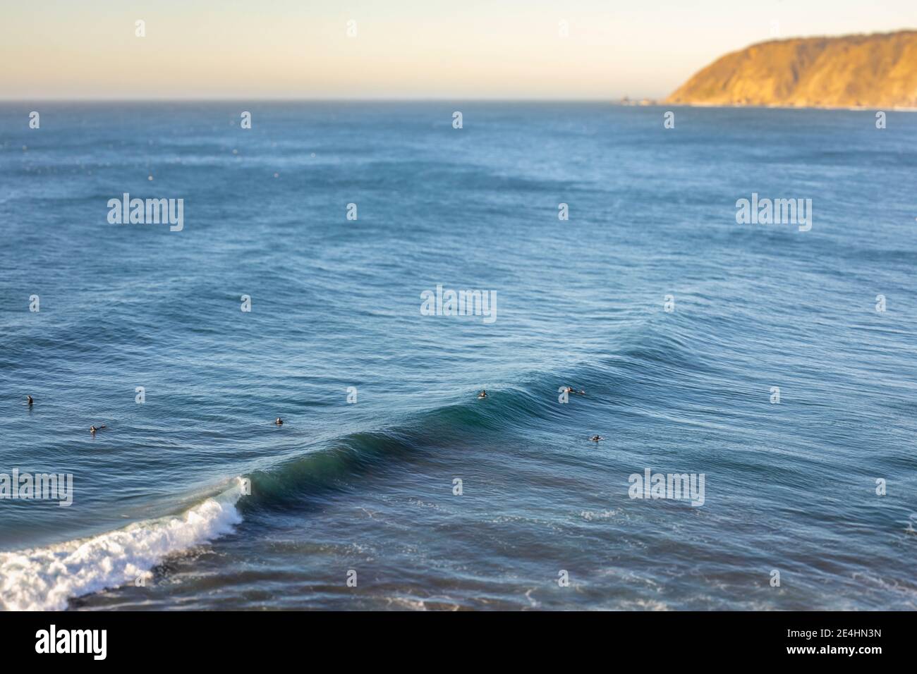 Surfers riding a big wave in the Pacific Ocean at Puertecillo spot in Chile. Amazing waves for surfing in an awe wild scenery photographed with a tilt Stock Photo