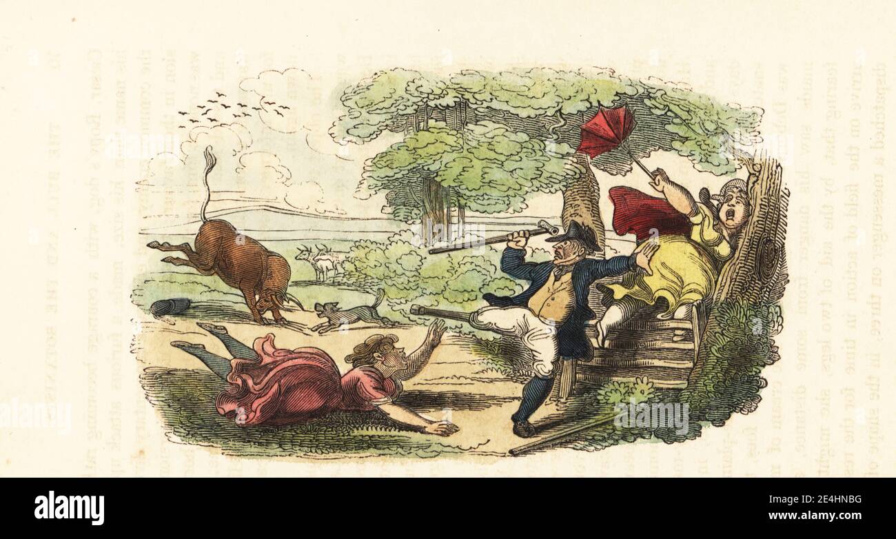 One-legged admiral, his wife and daughter fleeing a charging bull in a field. They are botanising, a popular Georgian family hobby. The bull and the botanists. An enemy bearing down, hope in the distance. Handcoloured wood engraving after an illustration by Thomas Rowlandson from W. H. Harrison’s The Humourist, a Companion for the Christmas Fireside, Rudolph Ackermann, 19 Strand, London, 1831. Stock Photo