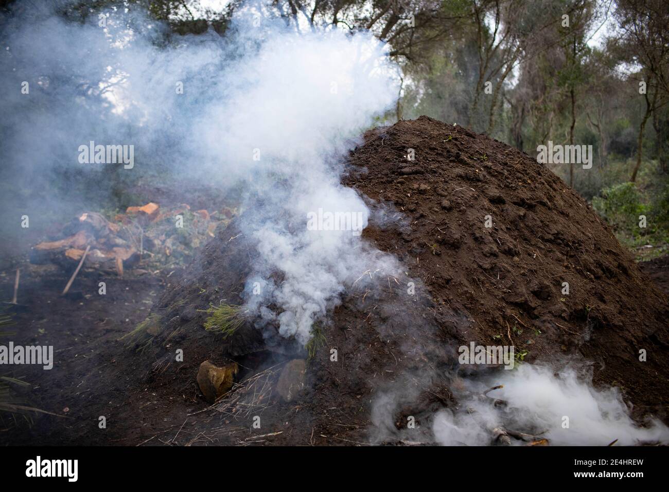 Charcoal kiln burning Stock Photo Alamy