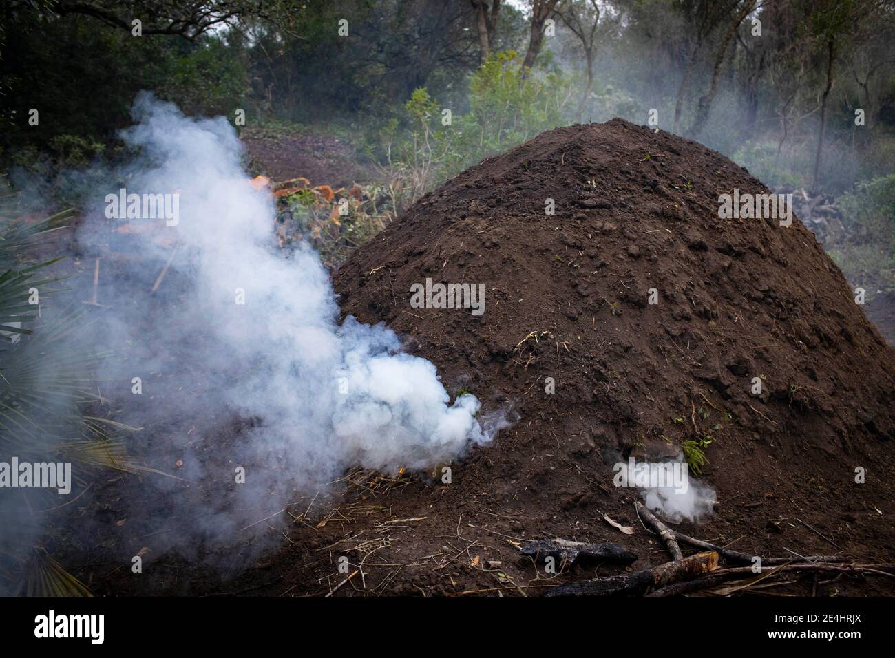 Charcoal kiln smoking during the burning process Stock Photo Alamy