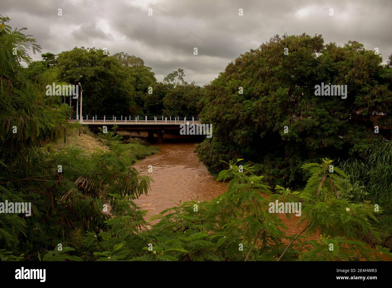 Dramatic scene of concrete bridge at tropical vegetation with heavy rain climate Stock Photo