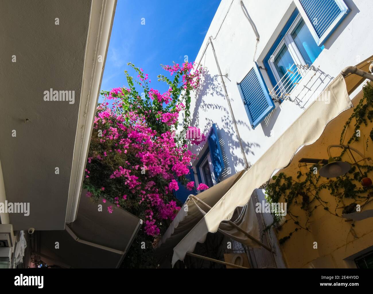 A narrow street of shops with pink bloomed bougainvillea flowers