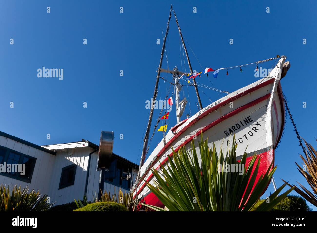 Sardine fishing hires stock photography and images Alamy