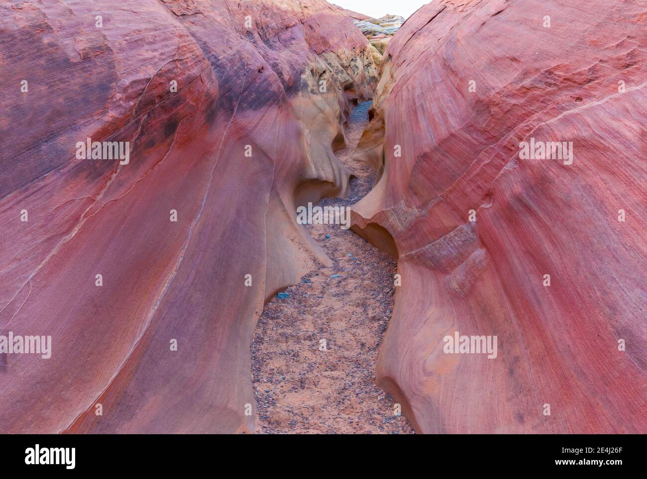Pastel Canyon On The Kaolin Wash, Valley of Fire State Park, Nevada, USA Stock Photo