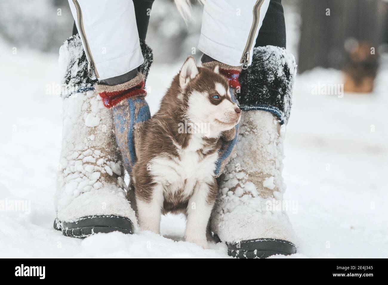 husky snow boots