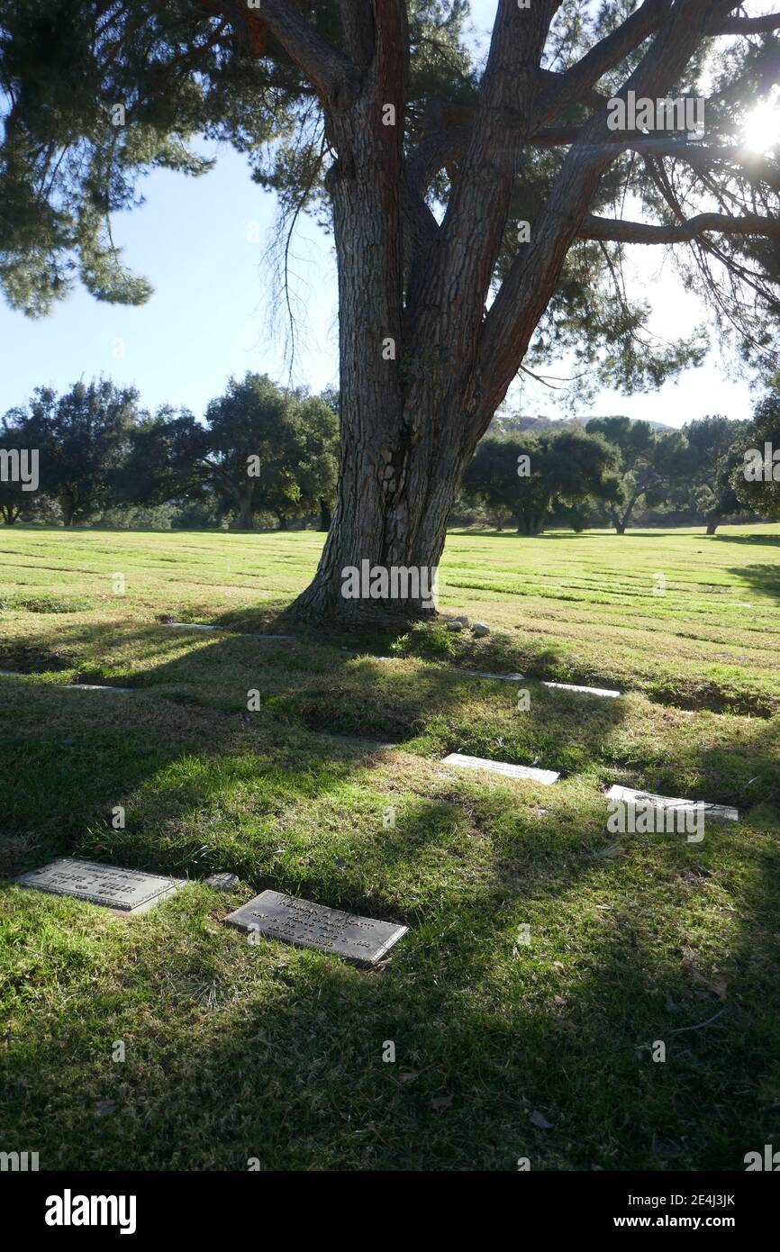 Los Angeles, California, USA 21st January 2021 A general view of atmosphere of actor Bill Williams aka William Herman Katt's Grave and wife actress Barbara Hale's Grave (unmarked) at Forest Lawn Memorial Park Hollywood Hills on January 21, 2021 in Los Angeles, California, USA. Photo by Barry King/Alamy Stock Photo Stock Photo