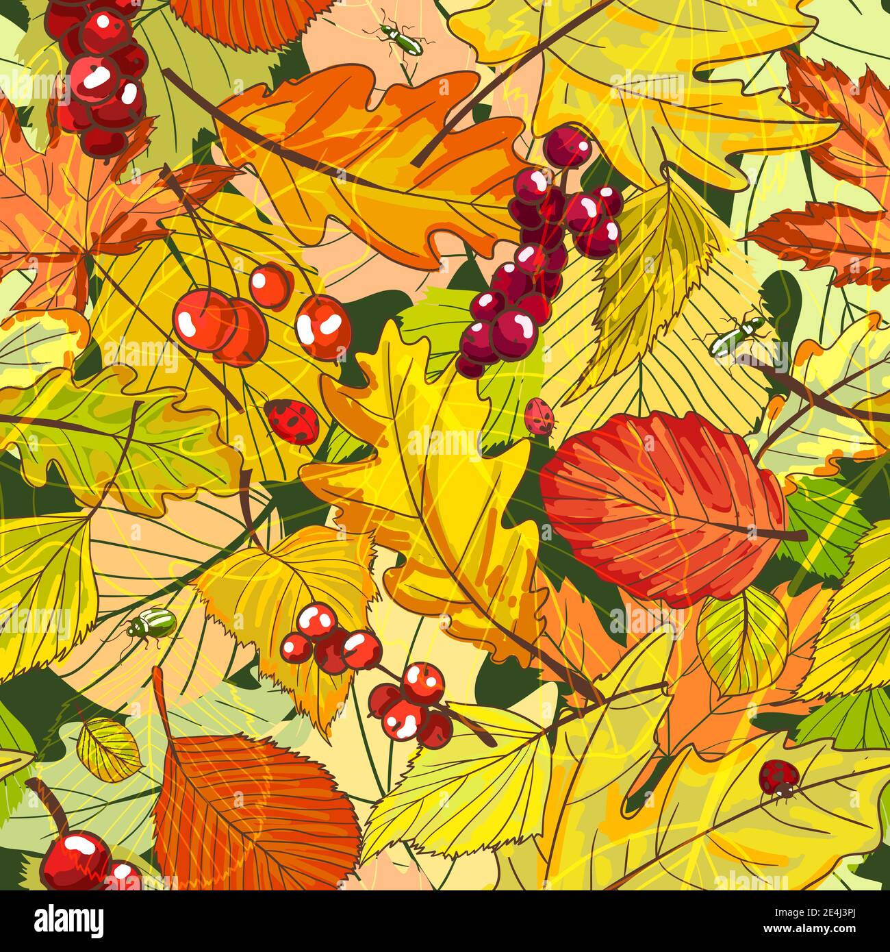 Autumn background with fallen leaves and berries vector illustration ...