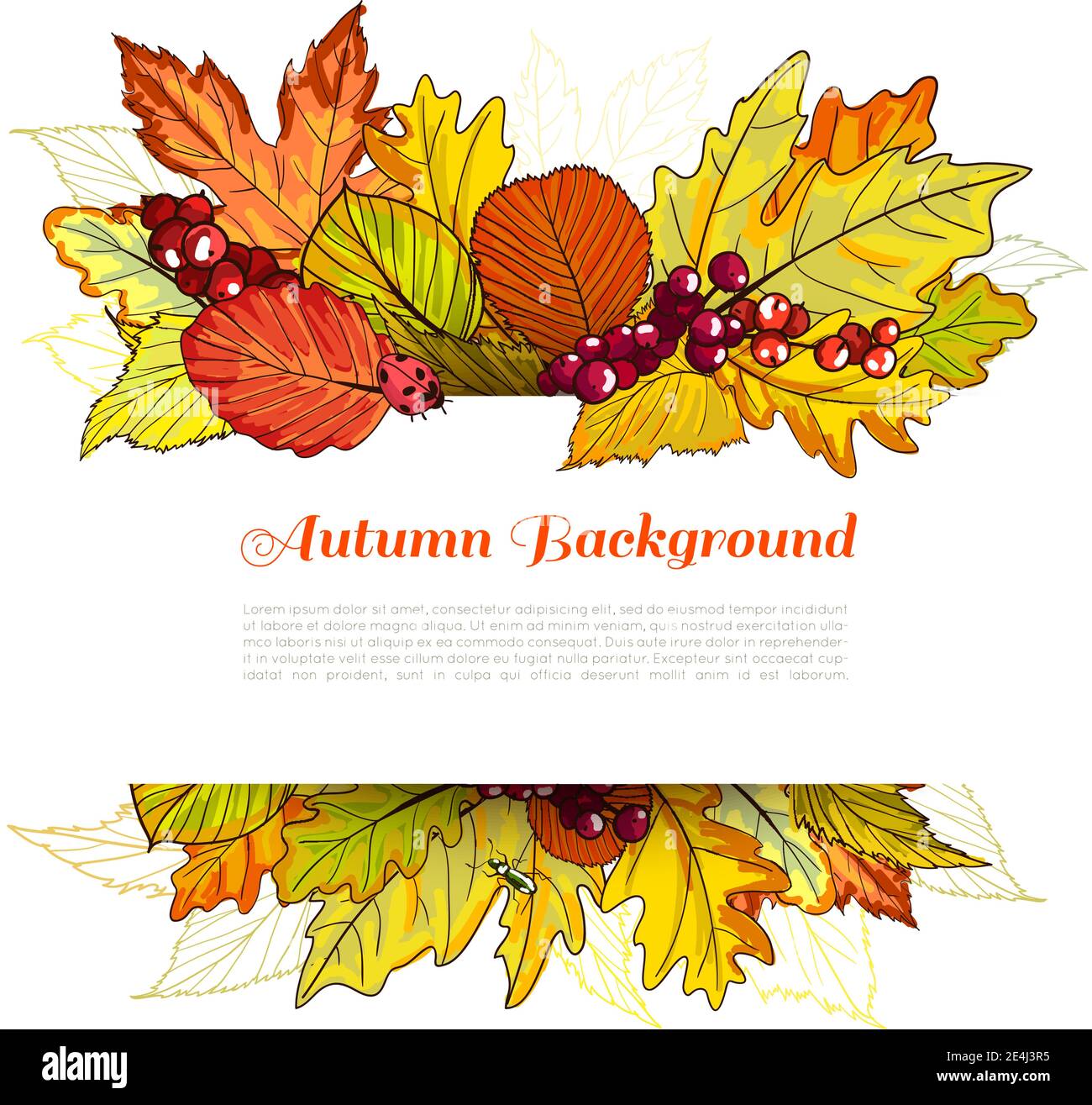 Autumn border with leaves, blank template vector illustration Stock ...