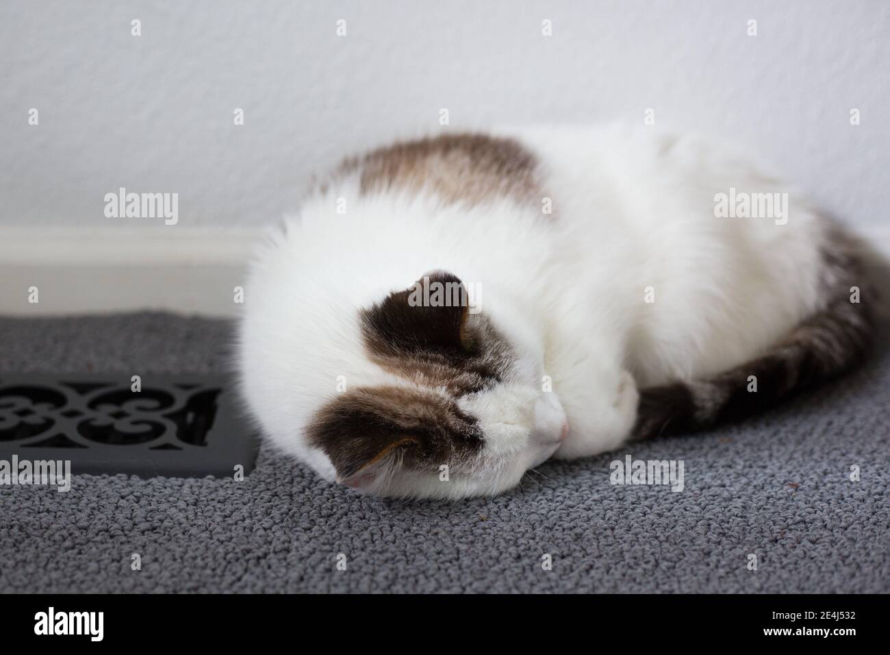 A cat asleep next to a heating vent. Stock Photo