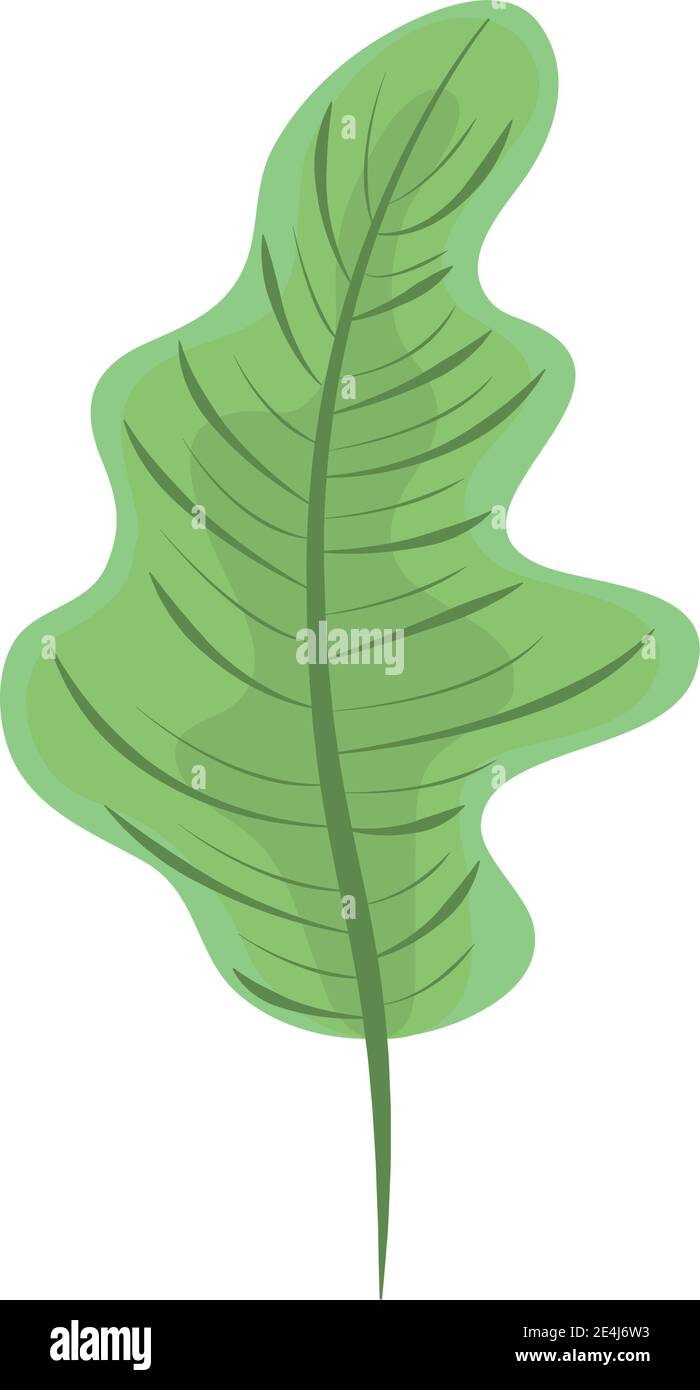 tropical leaf exotic foliage icon flat design vector illustration Stock ...