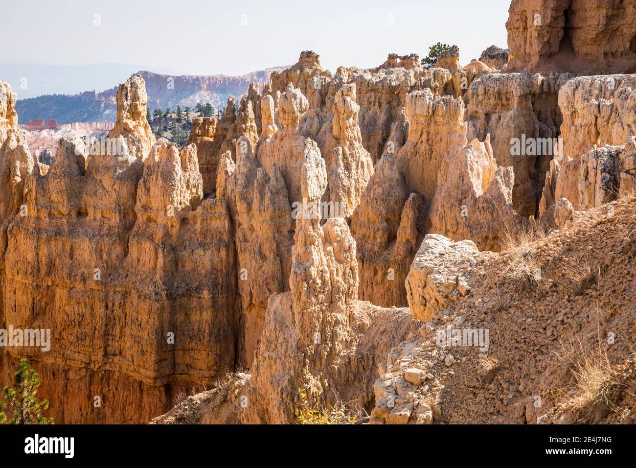 Smoke filled sky and rock structures called hoodoos in Bryce Canyon National Park, Utah, USA. Stock Photo