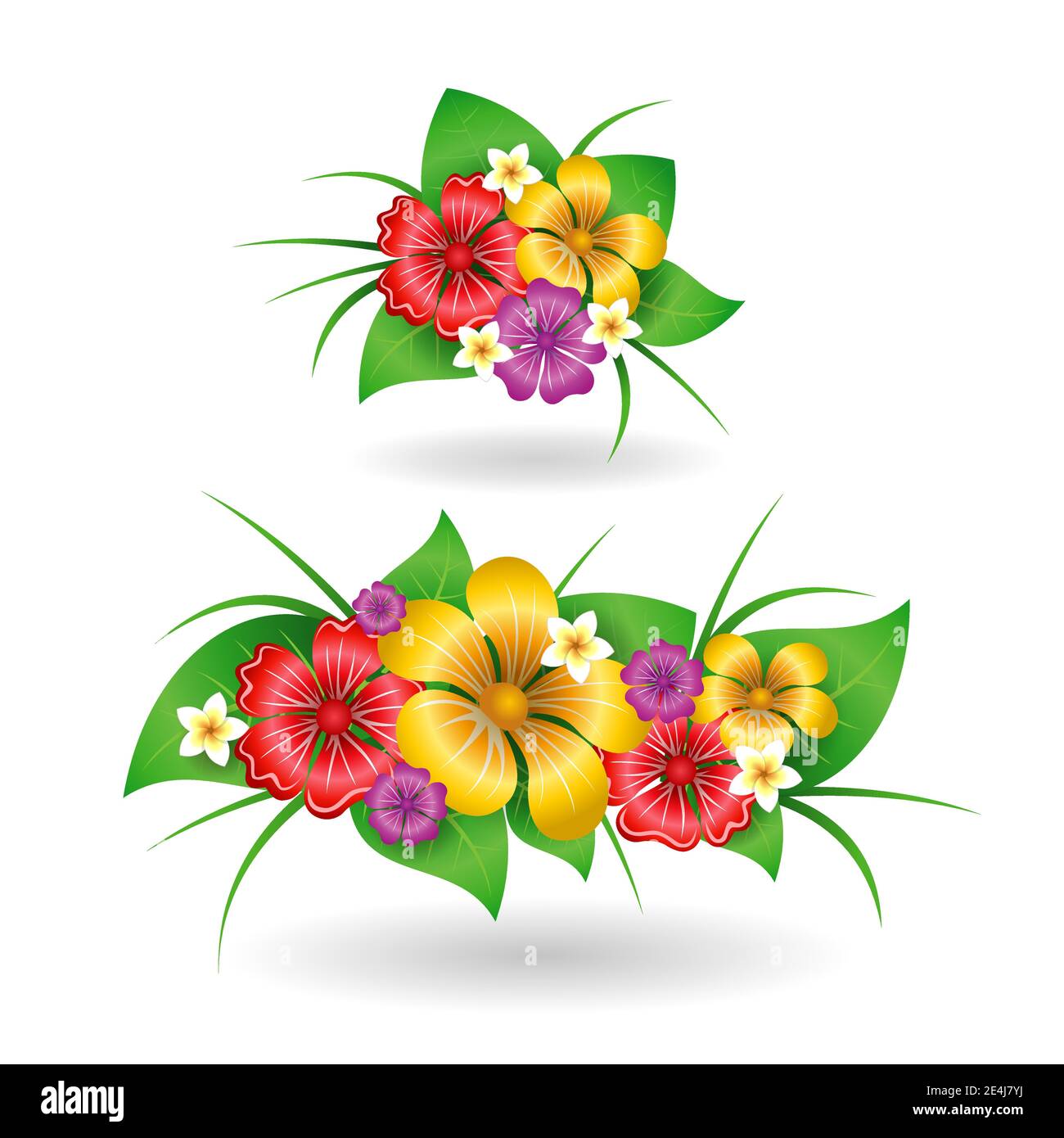 Tropical flowers decor elements isolated vector illustration Stock ...