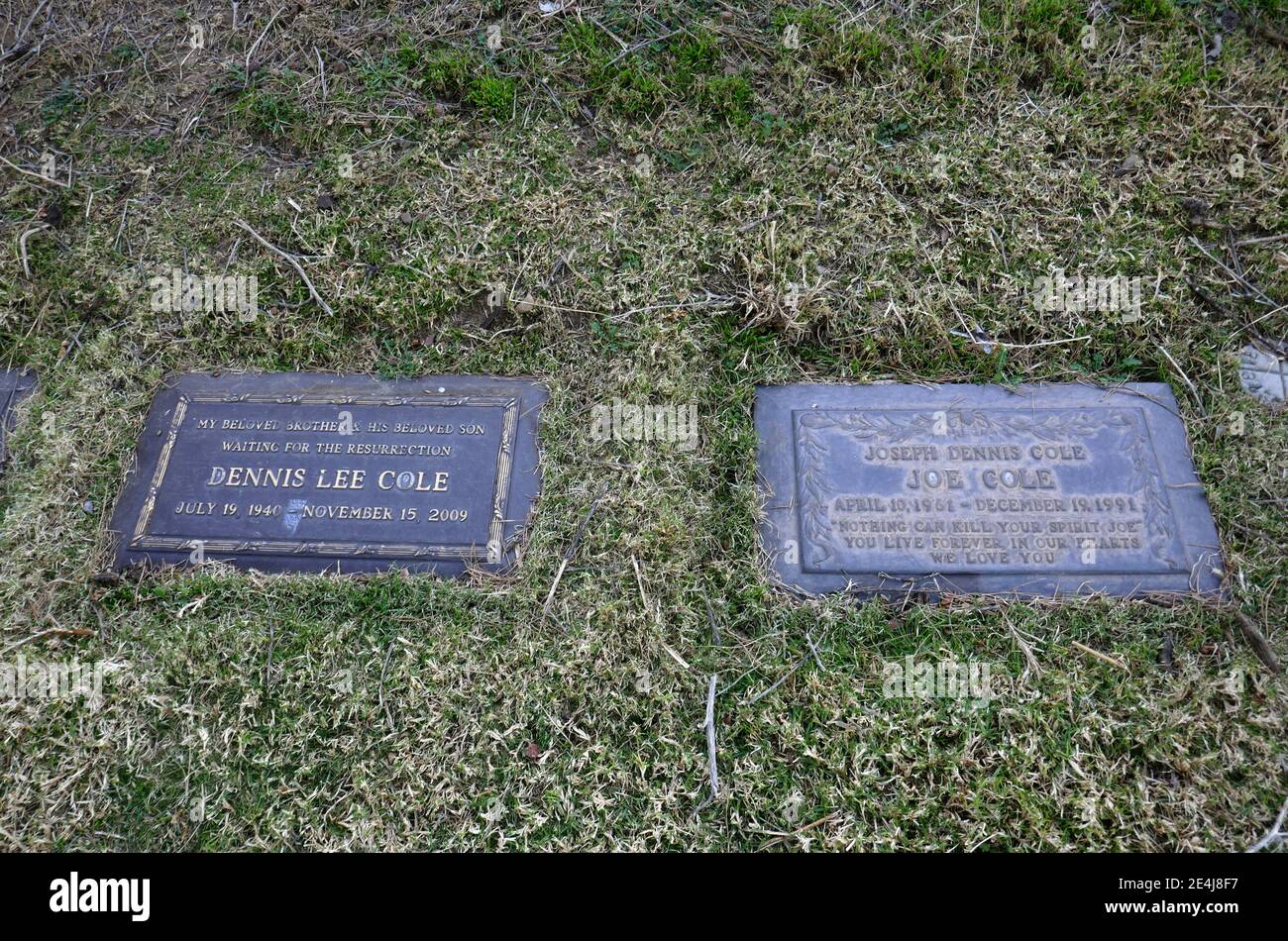 Los Angeles, California, USA 21st January 2021 A general view of atmosphere of actor Dennis Cole's Grave and son Joseph 'Joe' Dennis Cole's Grave at Forest Lawn Memorial Park Hollywood Hills on January 21, 2021 in Los Angeles, California, USA. Photo by Barry King/Alamy Stock Photo Stock Photo
