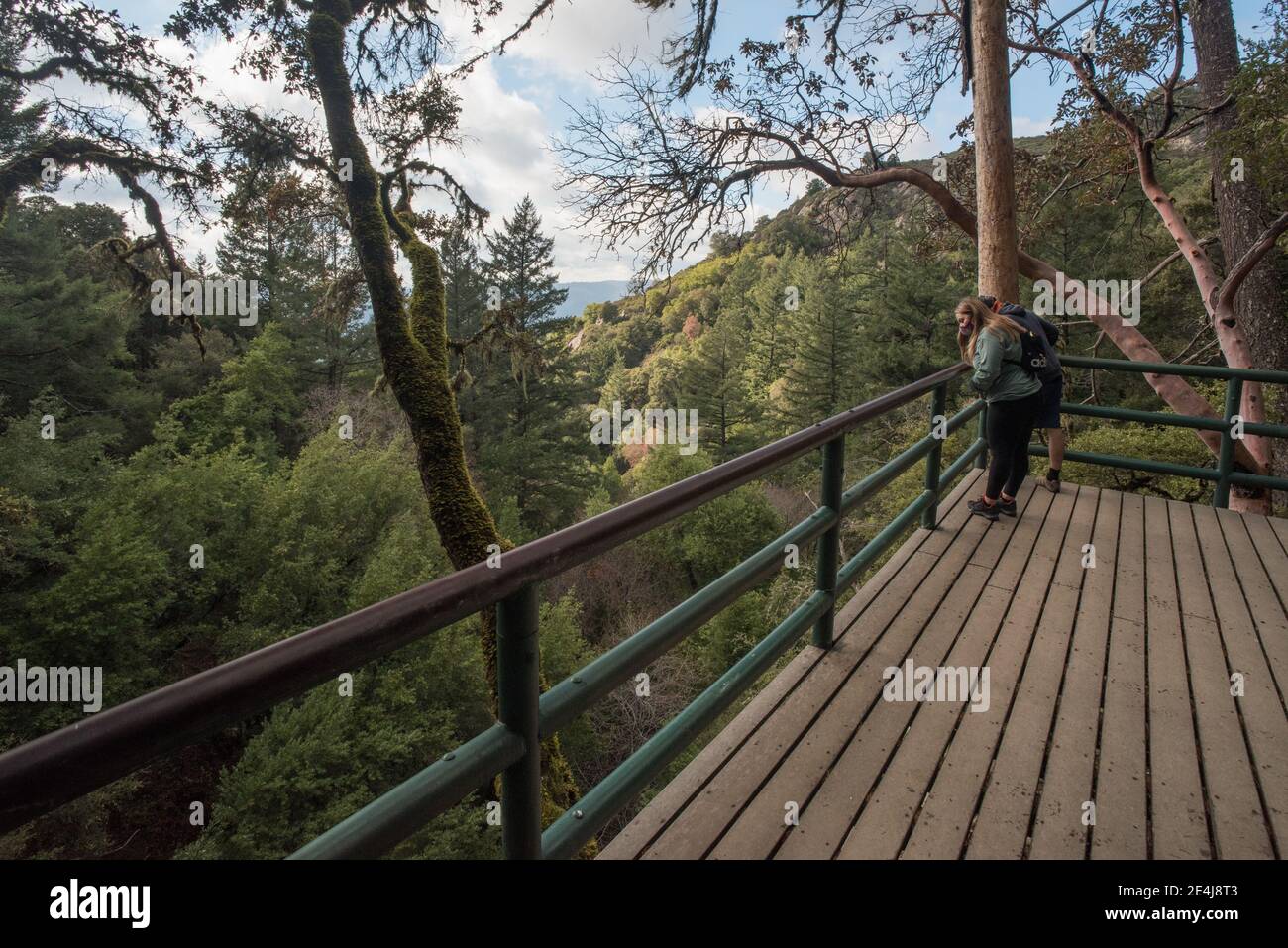 A observation platform in Castle rock state park allows visitors to safely look over a valley below while not worrying about the steep dropoff. Stock Photo
