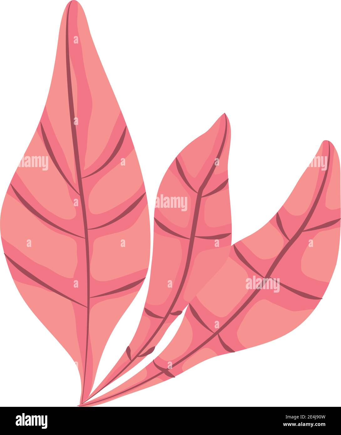 tropical leaf foliage jungle natural icon flat design vector ...