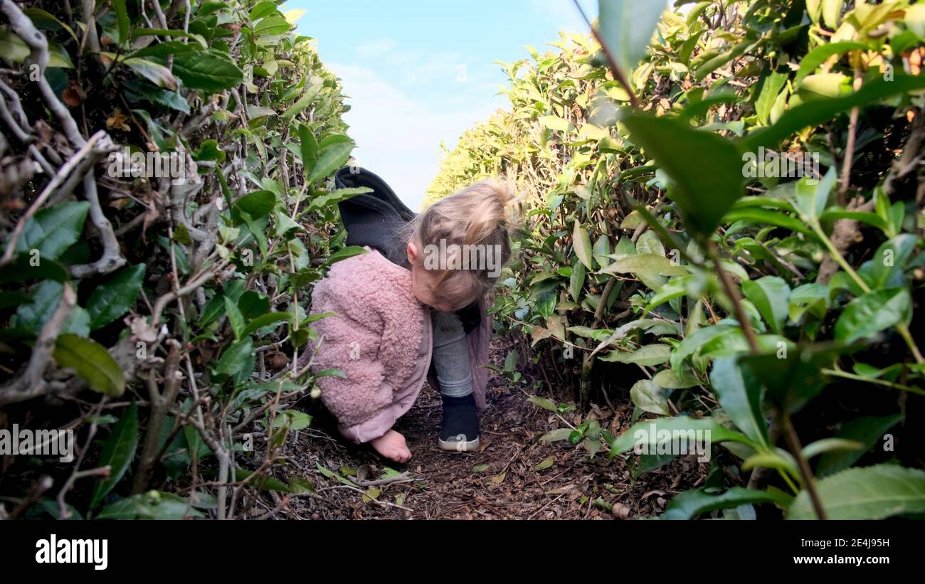 Funny blonde little girl in stylish pink jacket plays squatting on haunches between cut green bushes in autumn city park Stock Photo