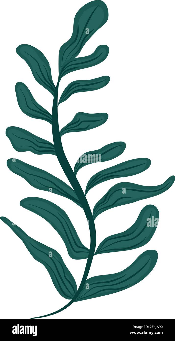 tropical leaf foliage leaves nature icon flat design vector ...