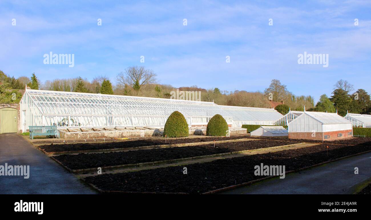 Victorian glasshouse at West Dean Gardens, Chichester with copy space to just add text if needed. Stock Photo
