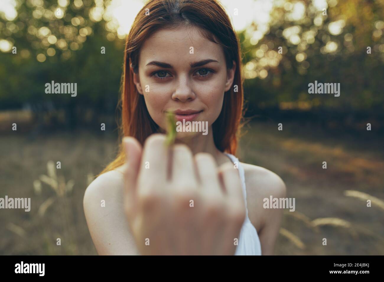 beautiful woman holds a praying mantis on her hand in nature on a meadow in summer Stock Photo