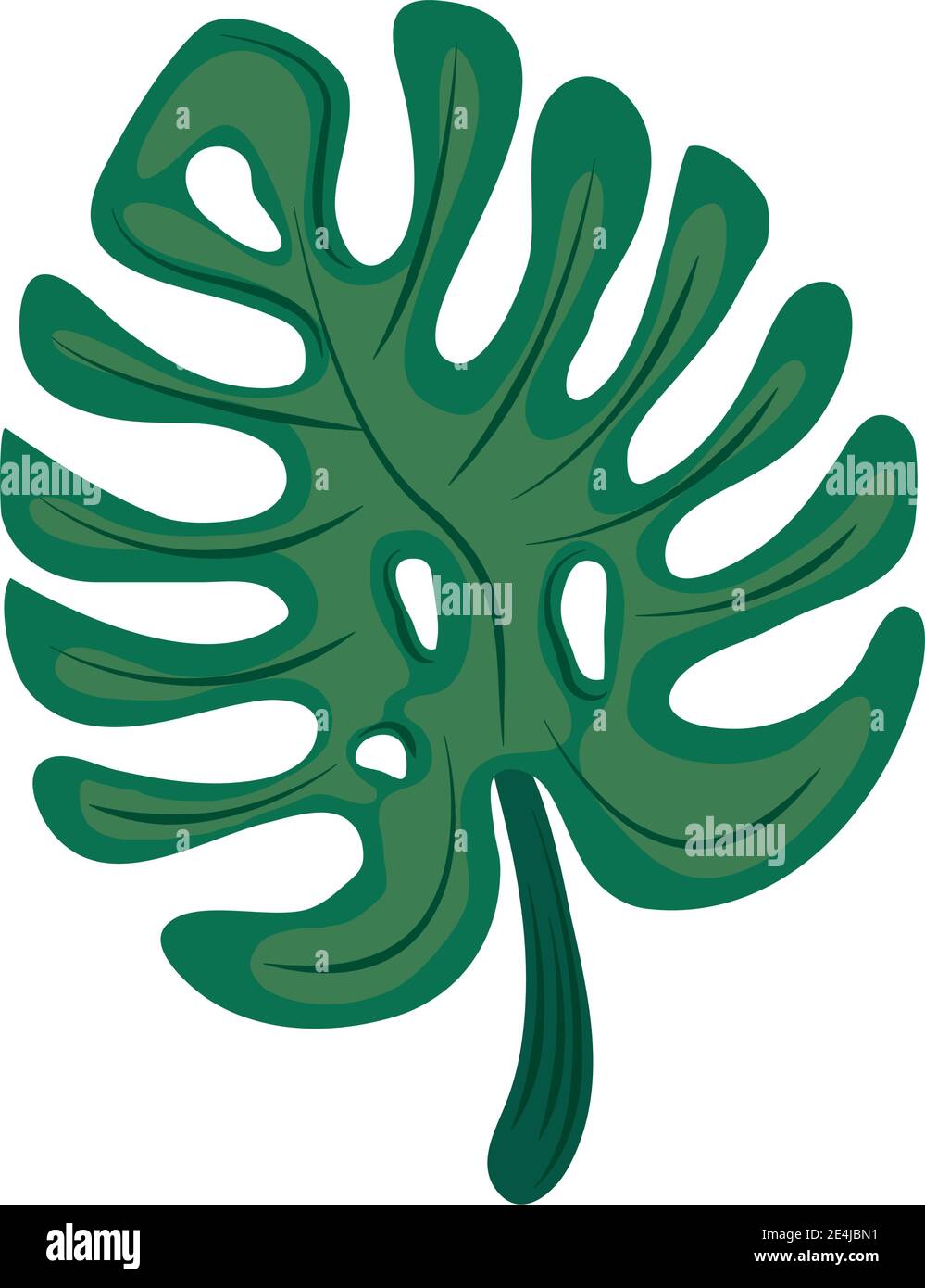 tropical monstera leaf foliage icon flat design vector illustration ...