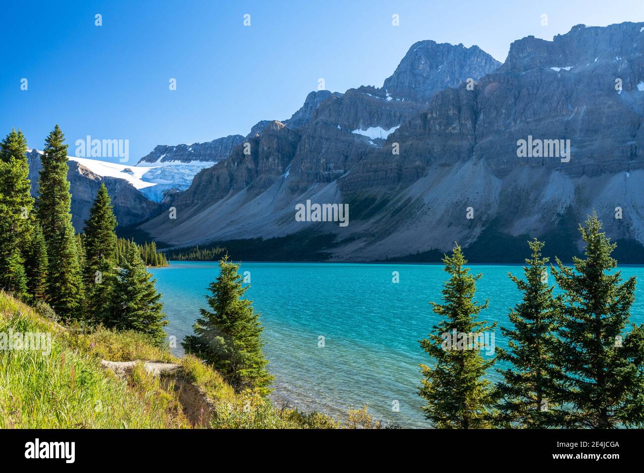Bow Lake lakeshore in summer sunny day. Bow Glacier, Banff National Park, Canadian Rockies, Alberta, Canada. Stock Photo