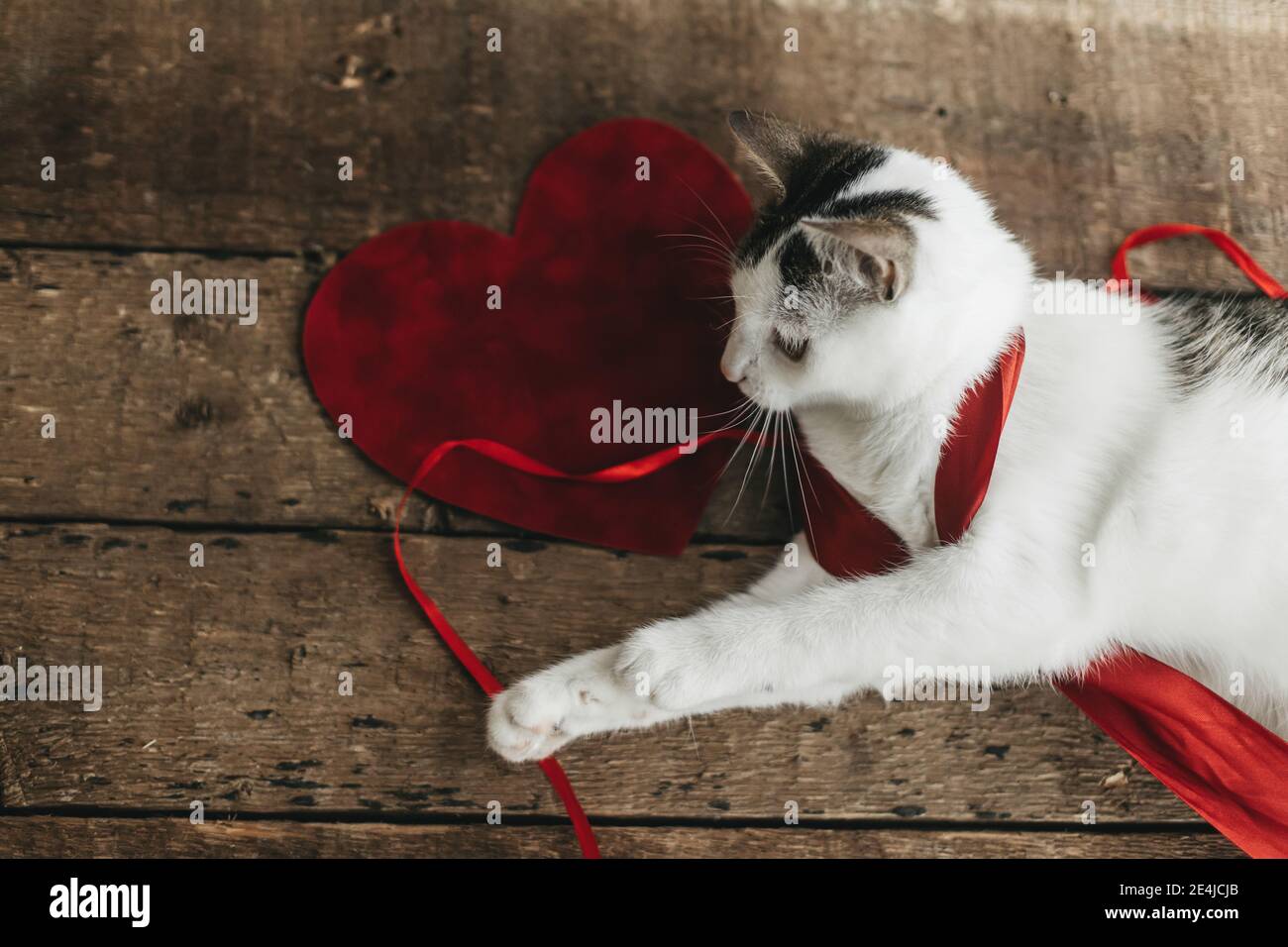 Happy Valentines day. Adorable cat playing with red ribbon and velvet heart  on rustic wooden background. Animals love concept. Cute funny kitty in re  Stock Photo - Alamy, image size:1300x956