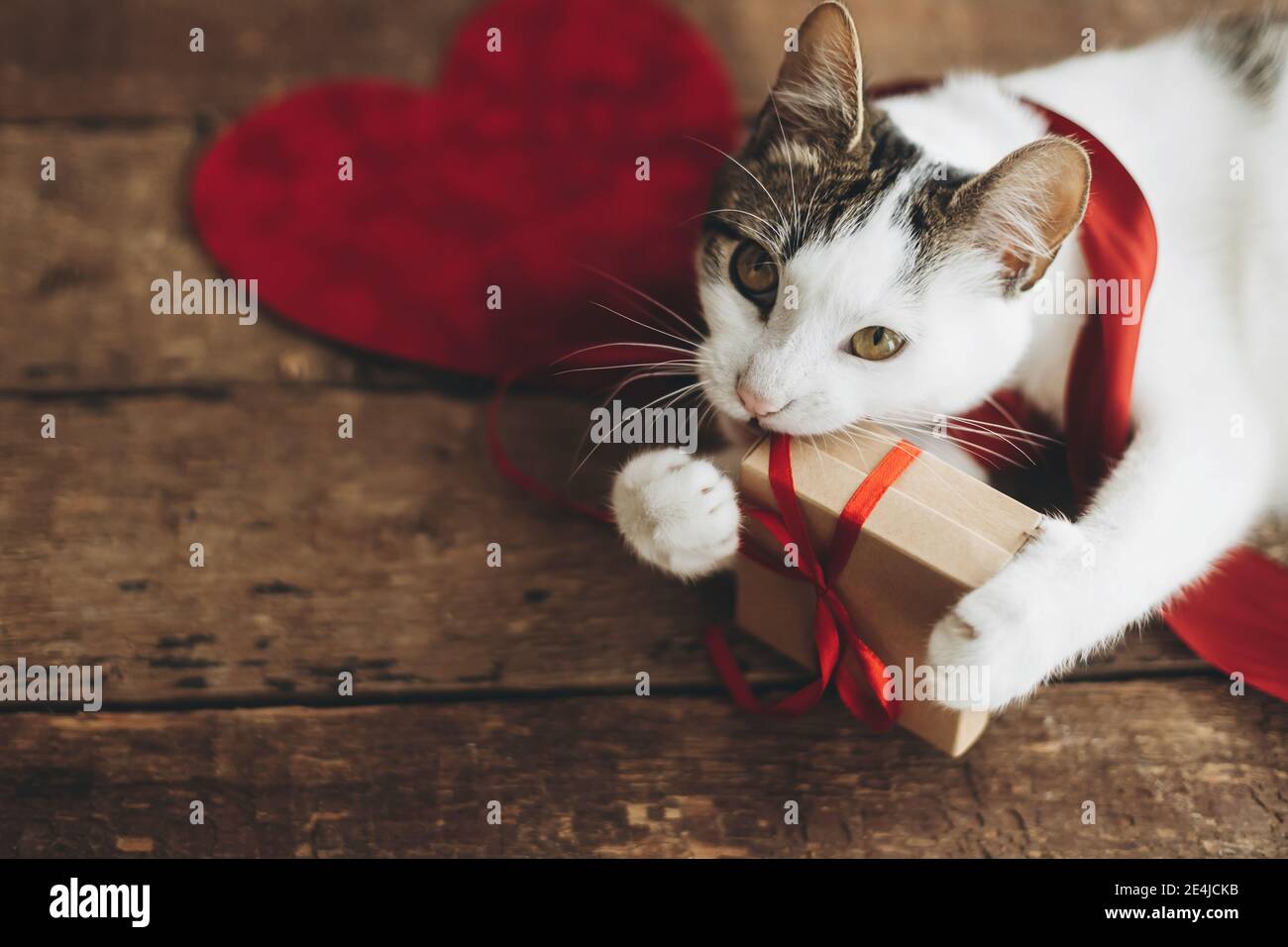 Valentine S Day Cute Animal Wallpaper