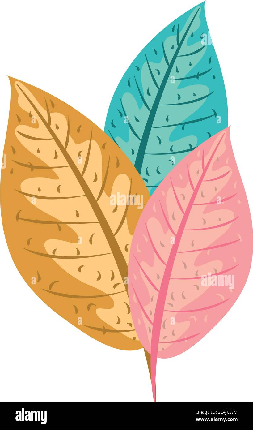 tropical leaf foliage natural decoration icon flat design vector ...