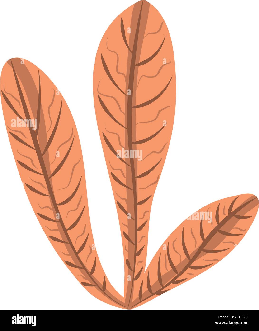 tropical leaf foliage plant icon flat design vector illustration Stock ...