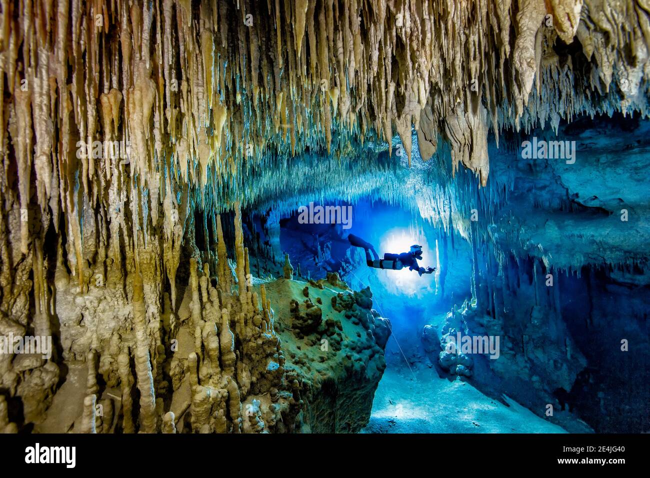 Man scuba diving in sea, Cenote Uku Cusam, Quintana Roo, Mexico Stock Photo