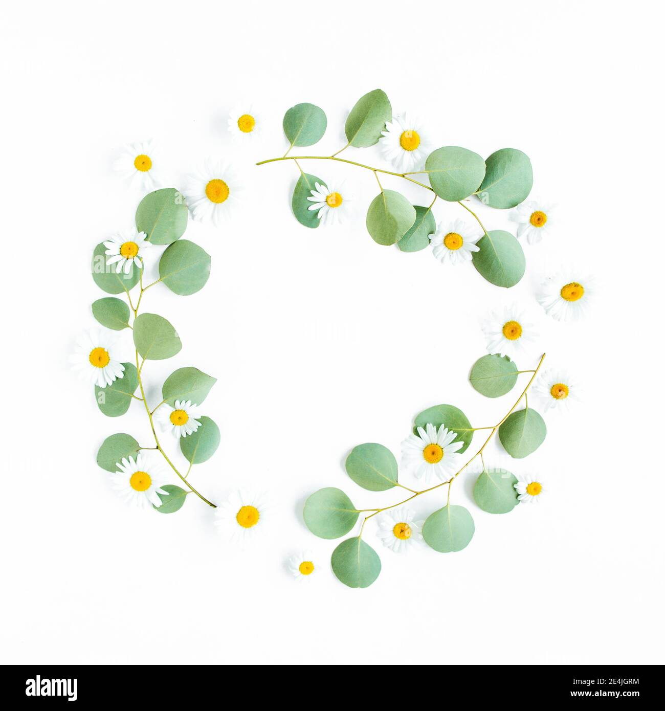 Chamomile wallpapers hi-res stock photography and images - Alamy