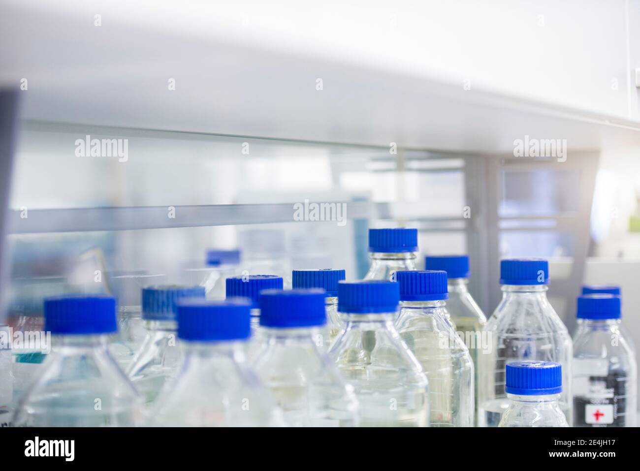 Solutions bottles with blue cap kept in laboratory Stock Photo Alamy