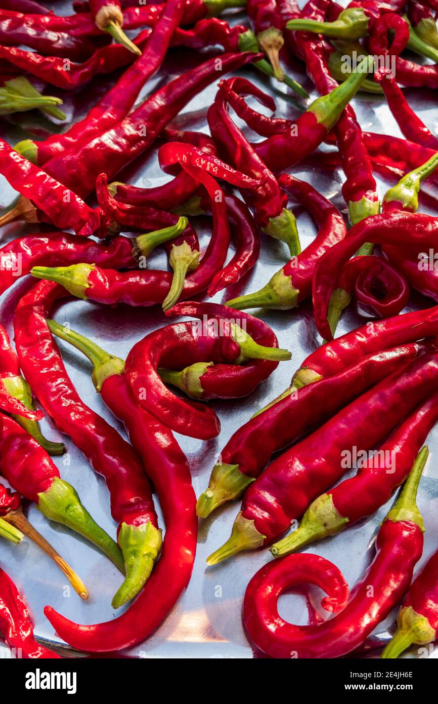 Close-up of fresh red chili pepper outdoors Stock Photo