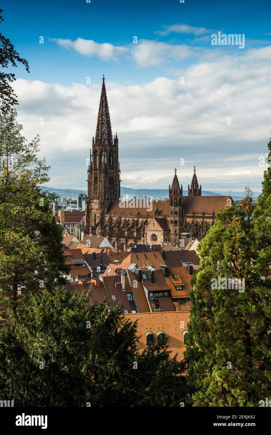 Münster, The Black Forest, Germany