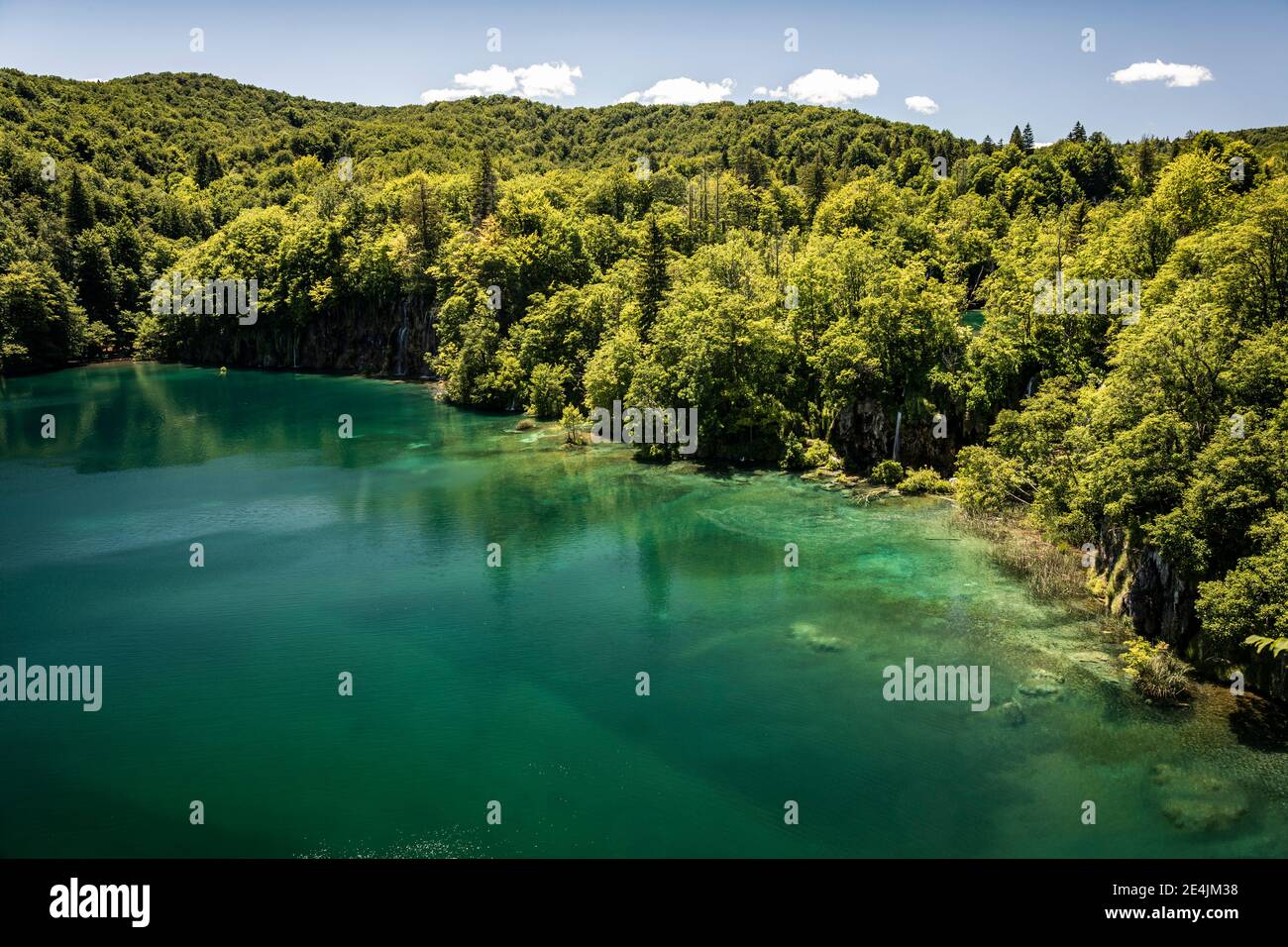 Turquoise lake and forest, aerial view Stock Photo Alamy