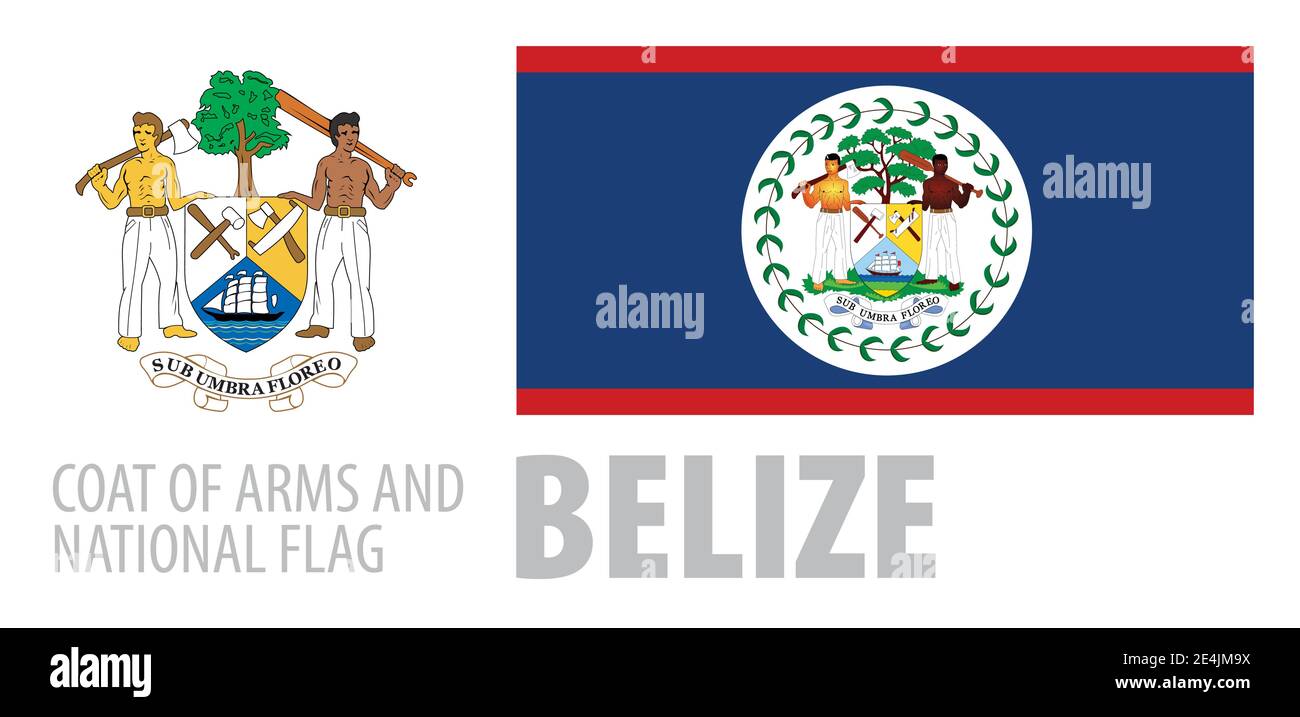 Vector set of the coat of arms and national flag of Belize Stock Vector