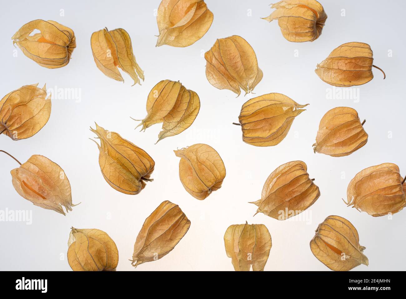 Dried physalis spread on a white background Stock Photo