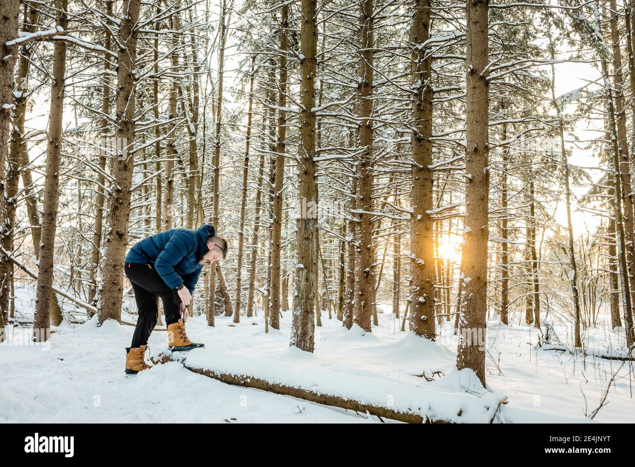 Man wearing warm clothing tying shoelace while standing at pine forest Stock Photo