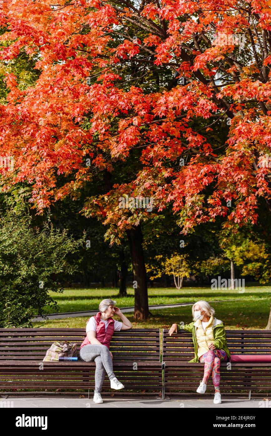 Autumn Park Bench Oldfriends