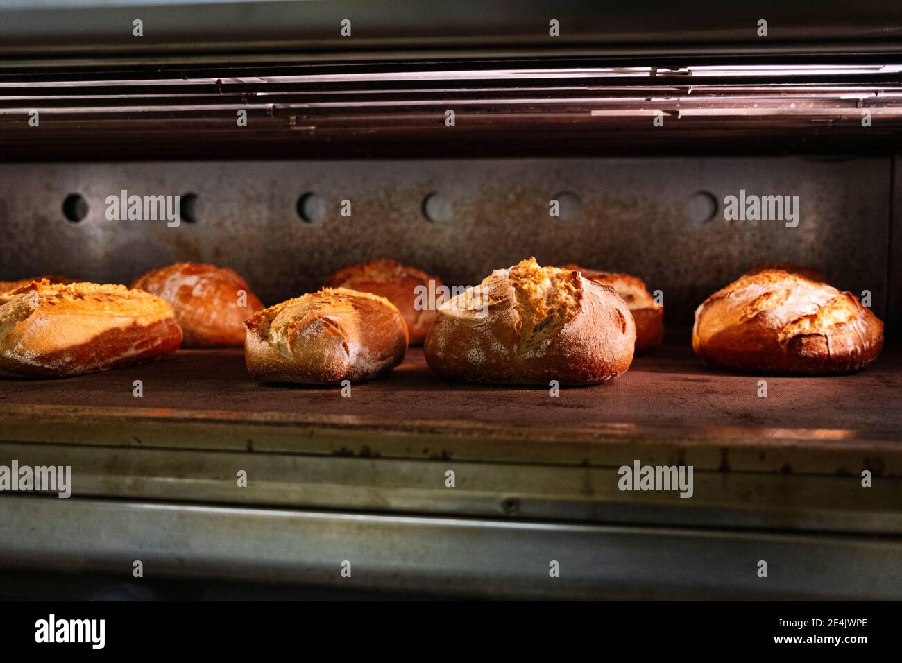 Fresh baked breads in oven at commercial kitchen Stock Photo Alamy
